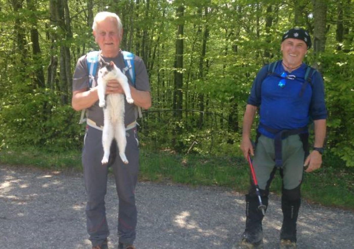 gatto-bianco-e-nero-in-braccio-a-persona