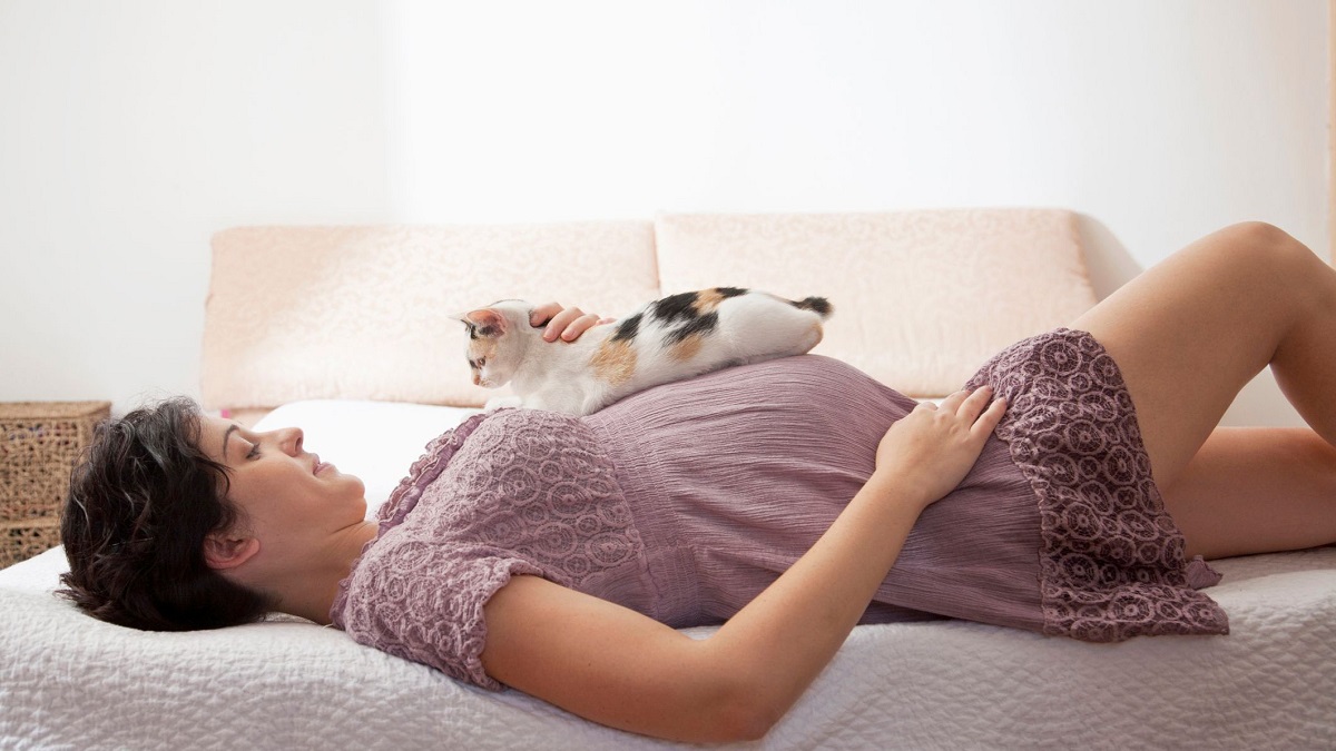 Gatto durante gravidanza umana: come si comporta?
