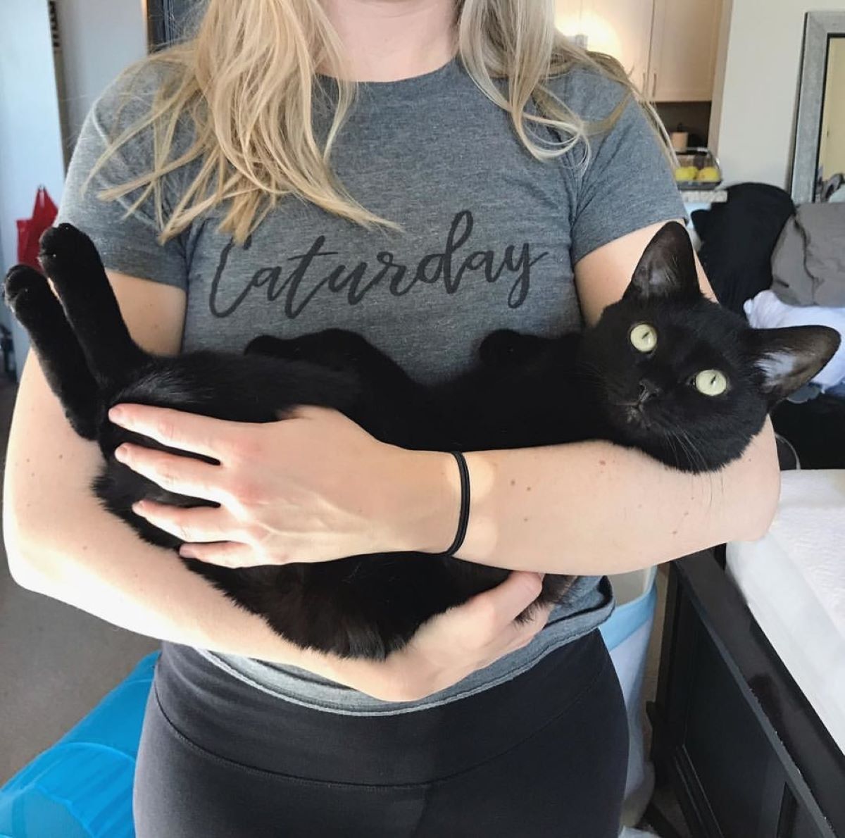 gatto-nero-in-braccio