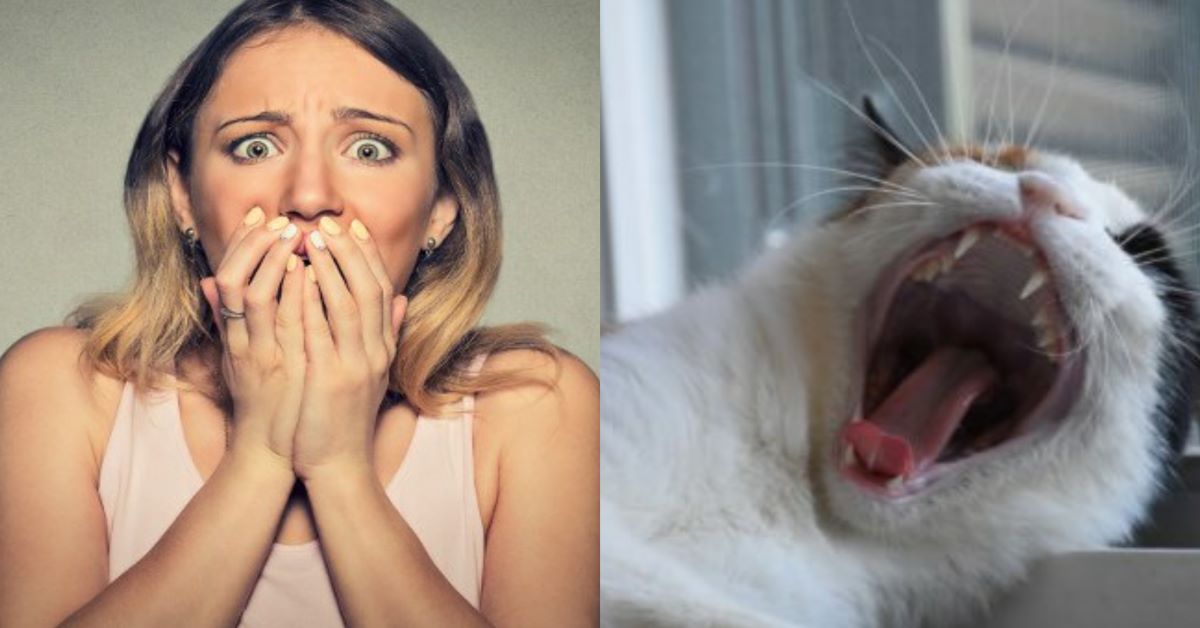 gatto-e-donna-spaventata