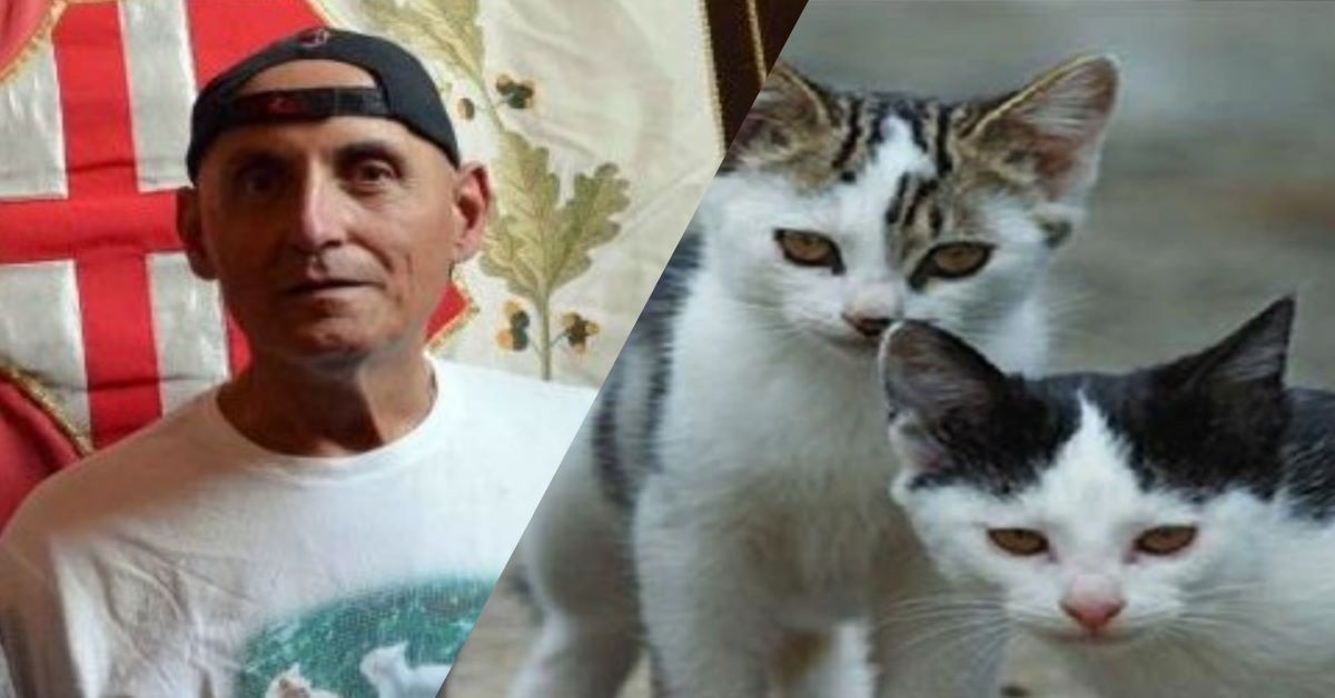 Città di Castello: i gatti avranno un’oasi felina grazie alle donazioni di un uomo salvo per miracolo