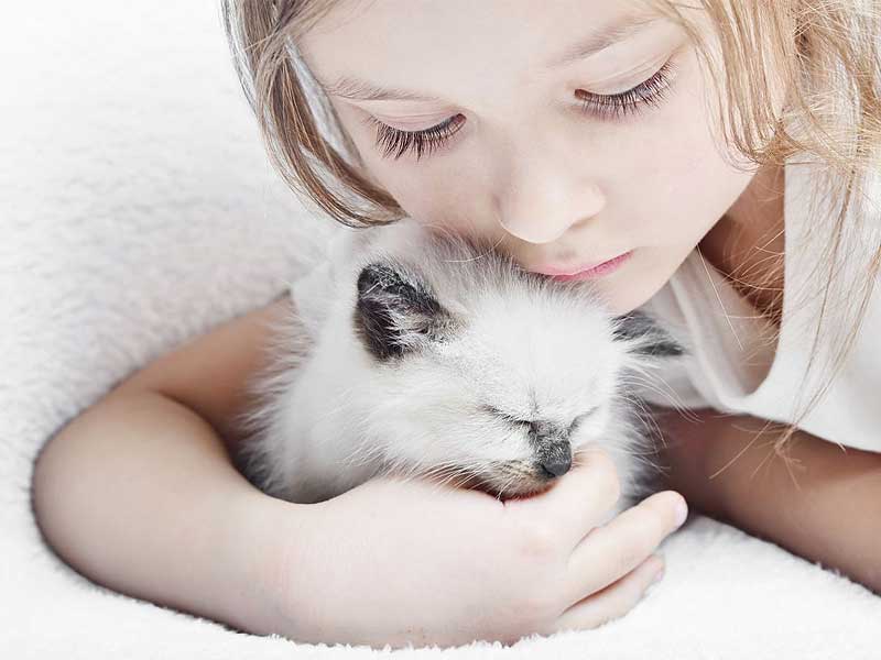 Gattino abbracciato da una bambina