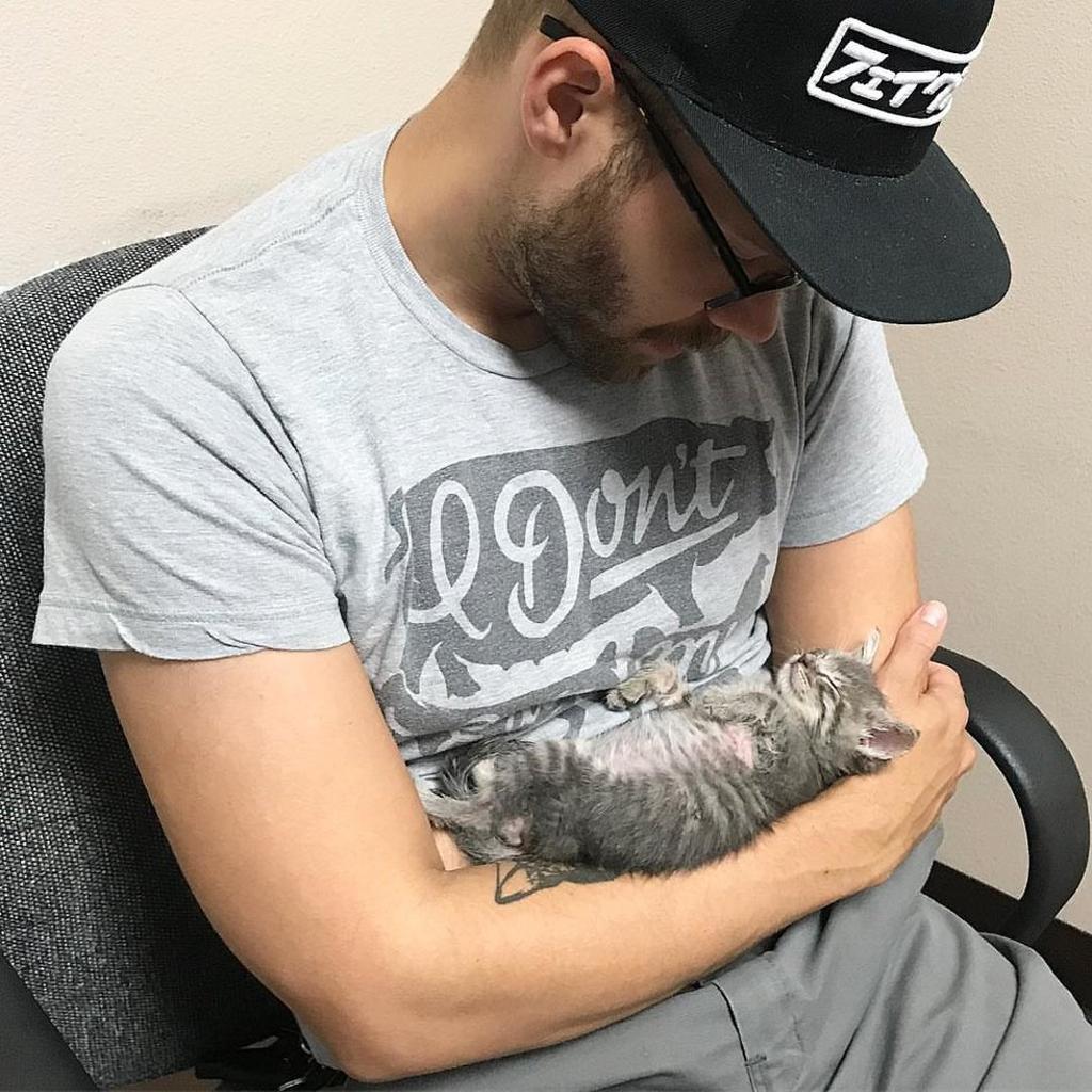Gattino in braccio ad un uomo