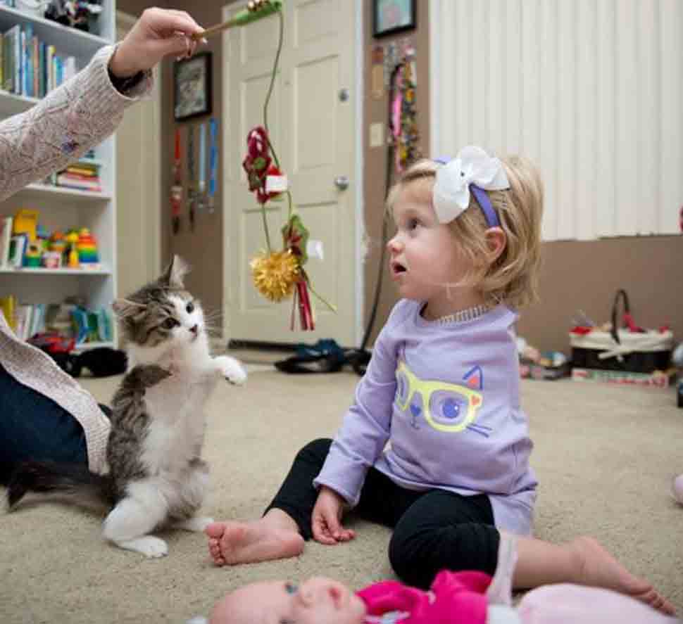 Gattino senza una zampa insieme ad una bambina