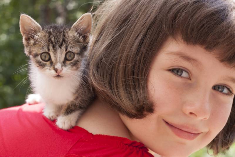 Gattino sulla spalla di una bambina
