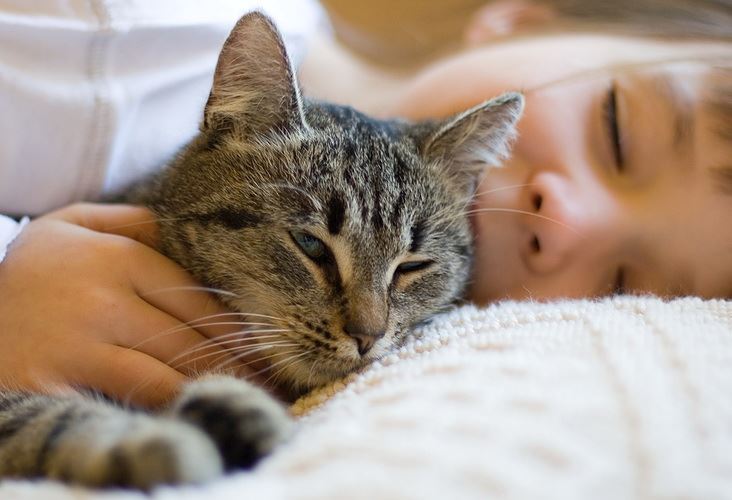 Gatto che dorme con un bambino