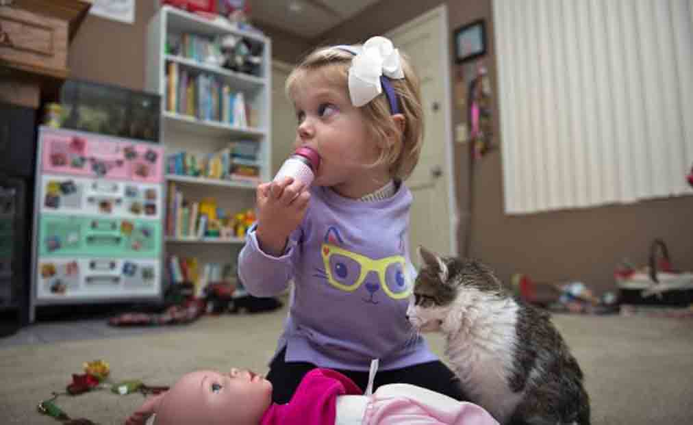 Gatto che gioca con una bambina