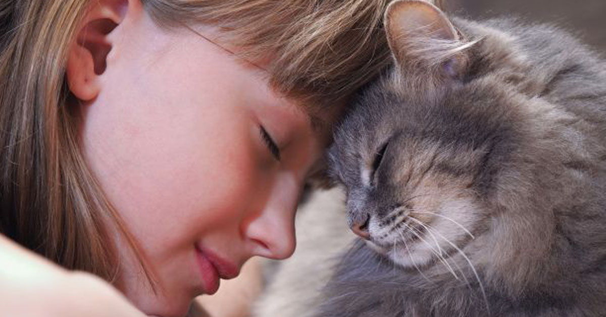 Gatti e bambini: ecco le razze più adatte ai più piccoli