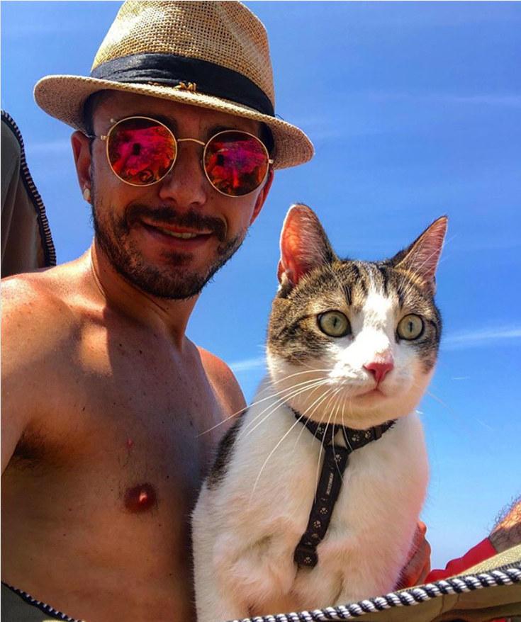 Gatto in vacanza con il proprietario