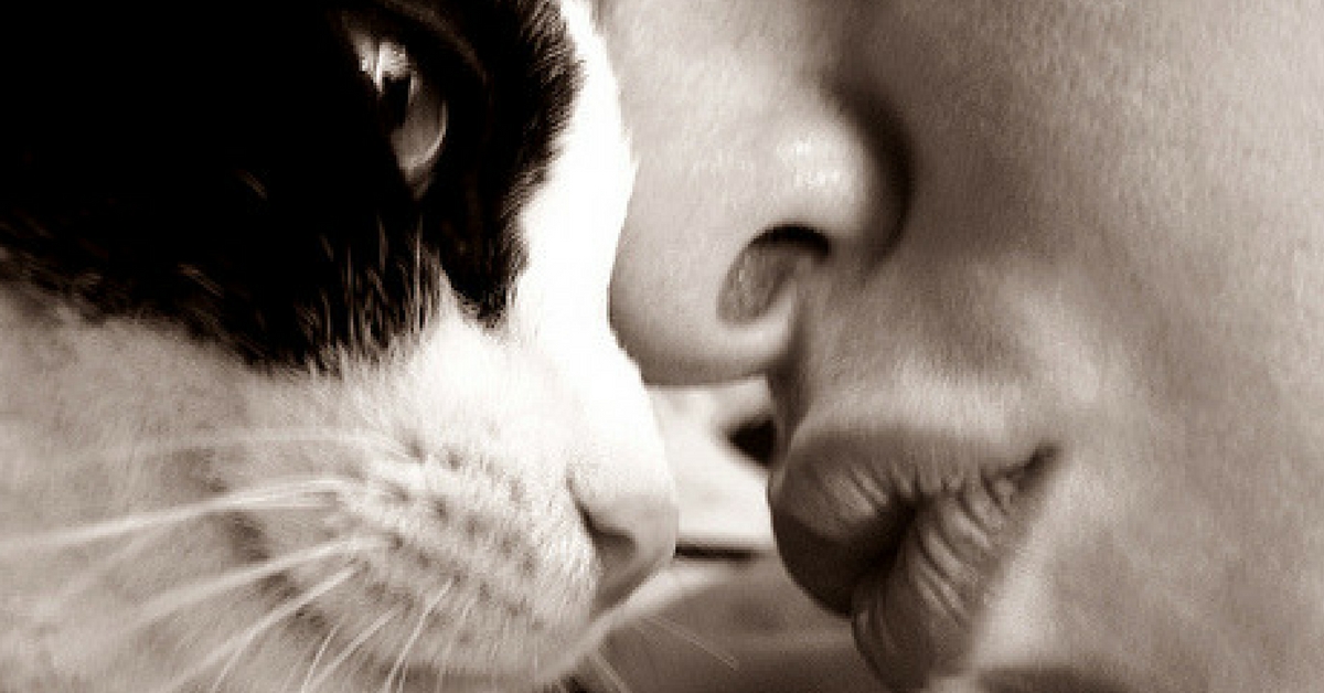 Ai gatti piace essere baciati? La risposta degli esperti