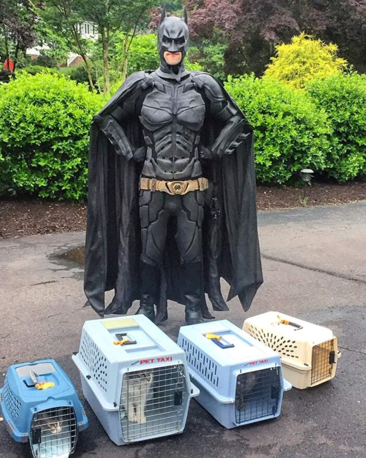 trasportini-e batman
