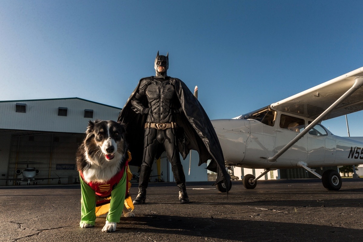cane-e-batman