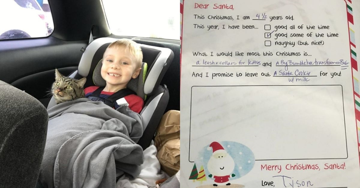 Due gatti sono il miglior regalo di Natale per un bambino di quattro anni e mezzo