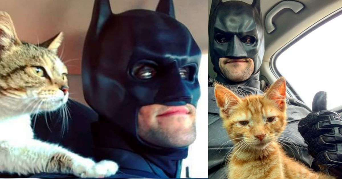 Gatti e cani vengono salvati da un uomo che si traveste da Batman