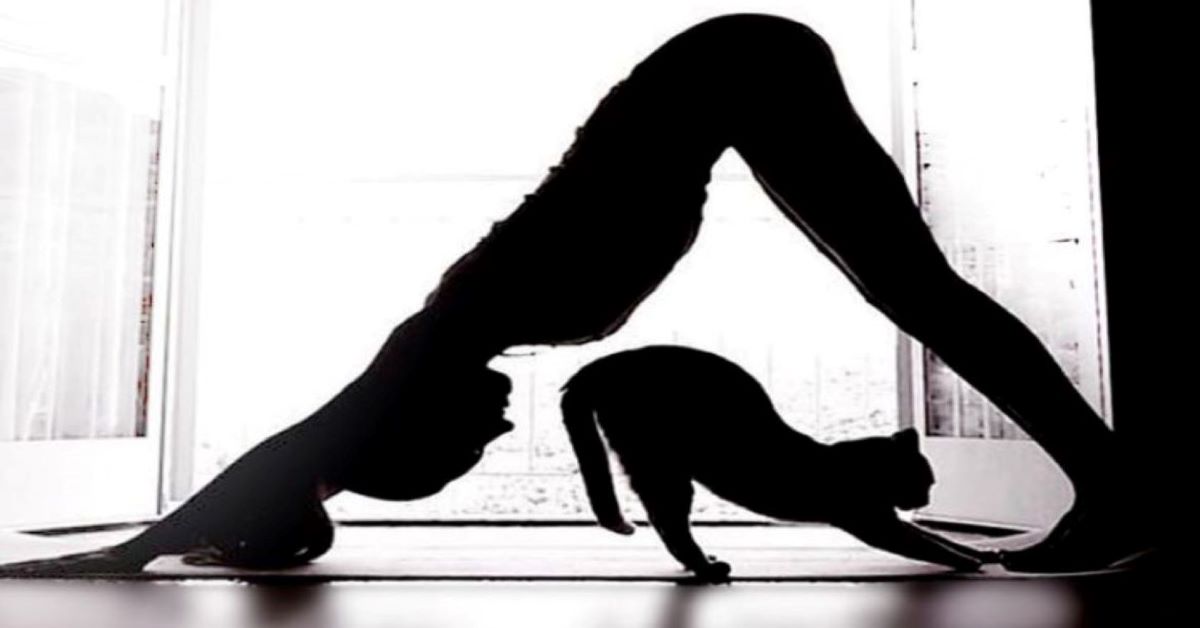 gatto-con-ragazza-che-fa-yoga