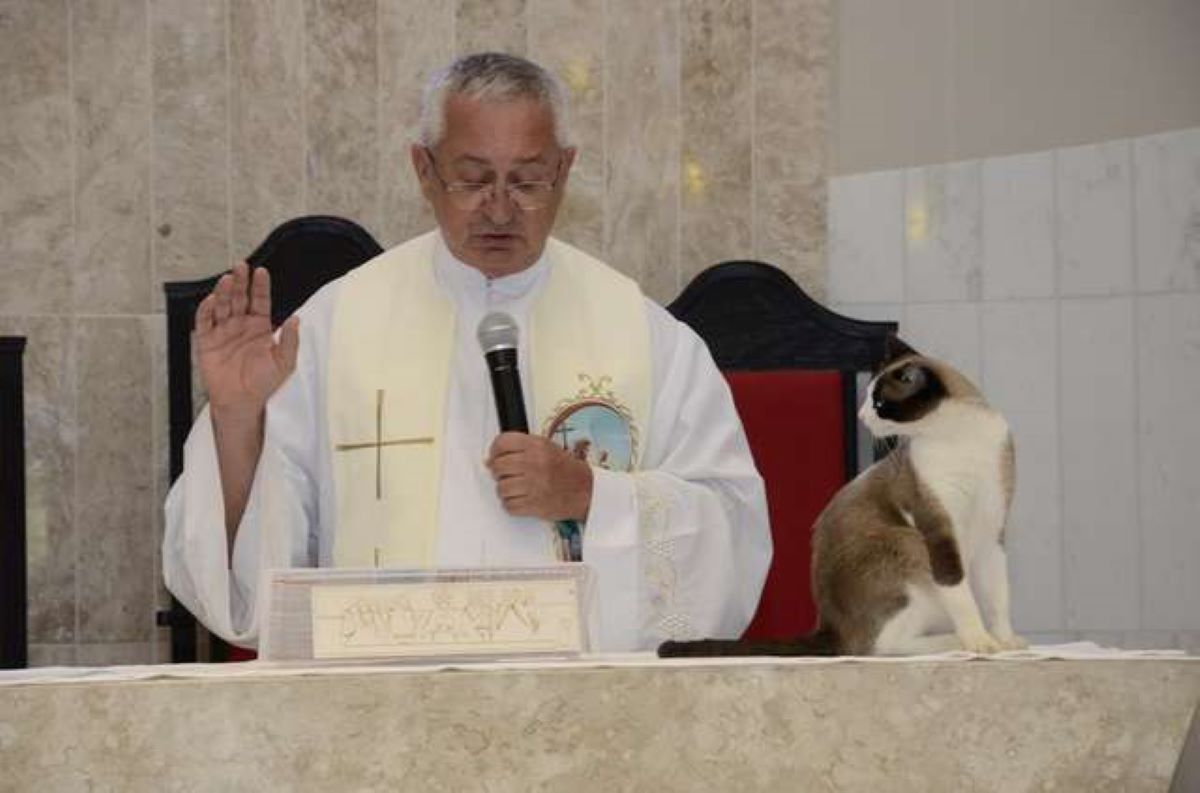 gatto-su-altare-vicino-a-prete