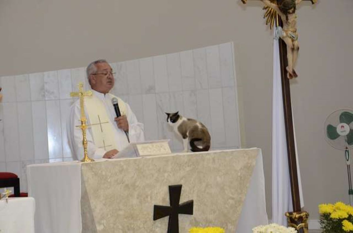 gatto-vicino-a-prete
