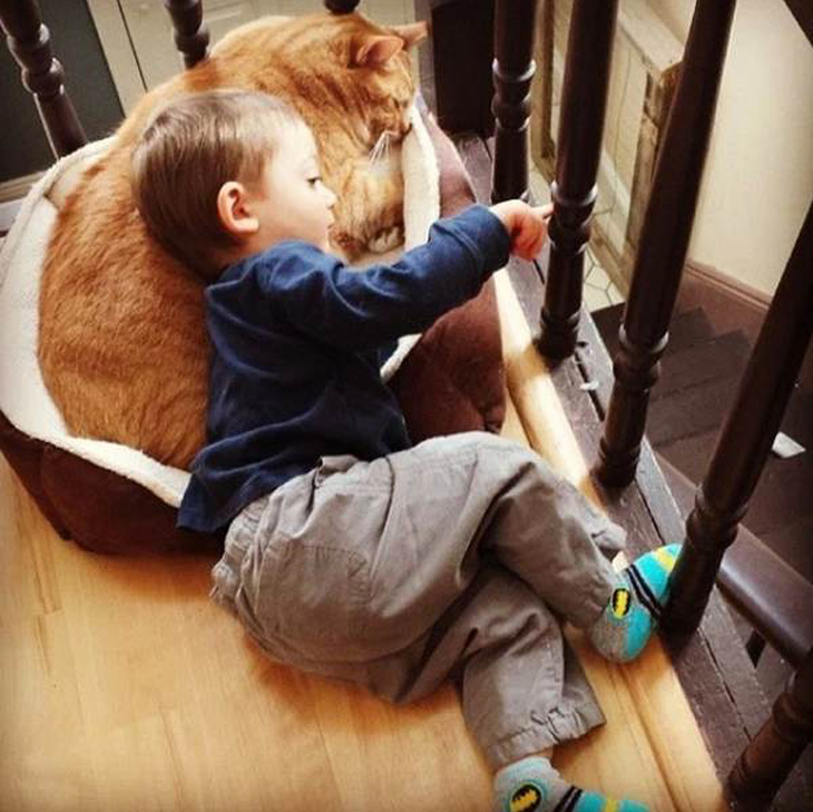 Amicizia tra il gatto LArry e un bambino