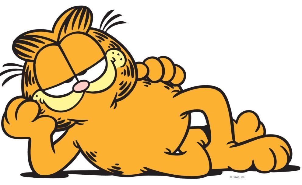 Gatto Garfield