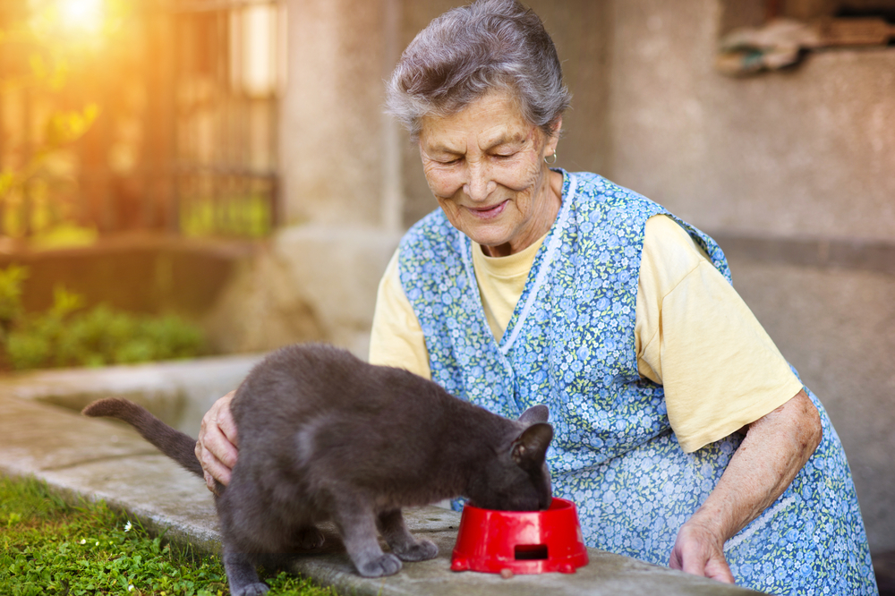 Gatto che mangia vicino ad una donna anziana