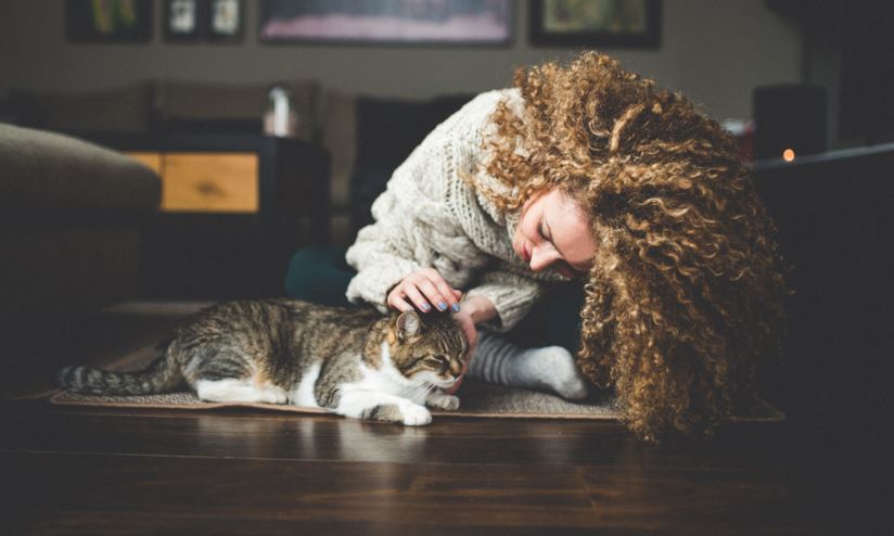 Gatto che si fa accarezzare da una ragazza