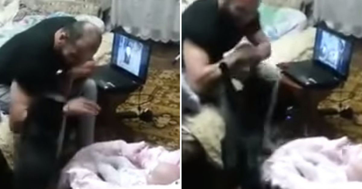 Gatto protettivo difende una bambina dai finti maltrattamenti del padre: il video