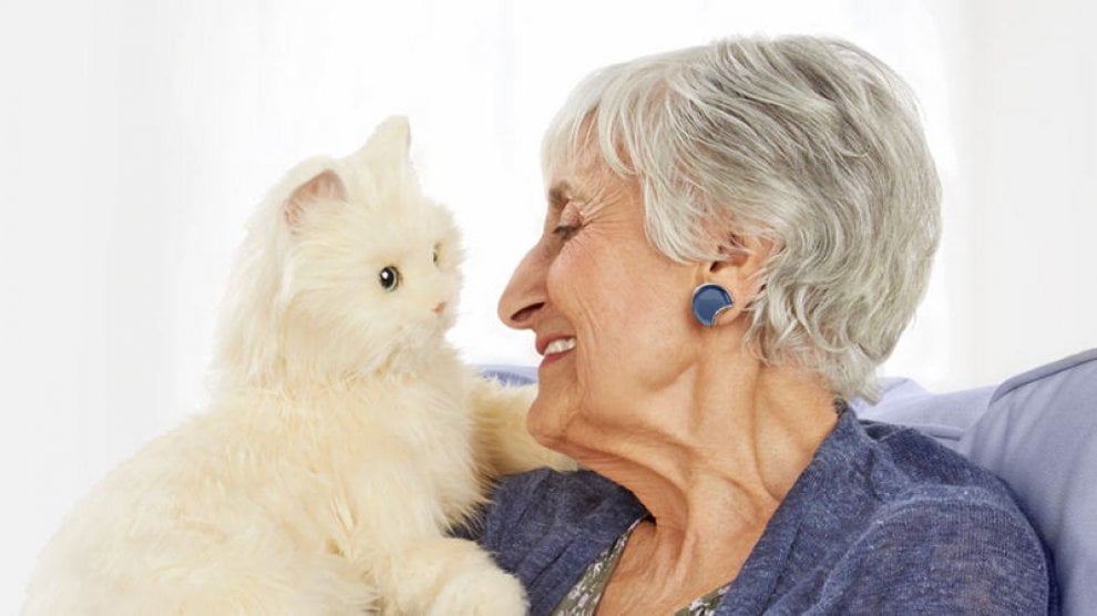 Gatto insieme ad una donna anziana