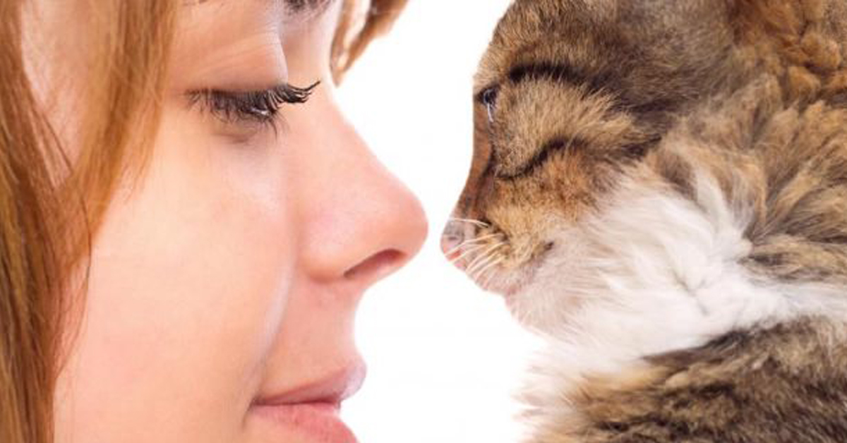 Un gatto che guarda negli occhi una donna