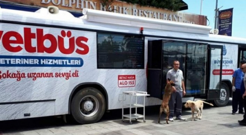 Veterinari che viaggiano su un bus