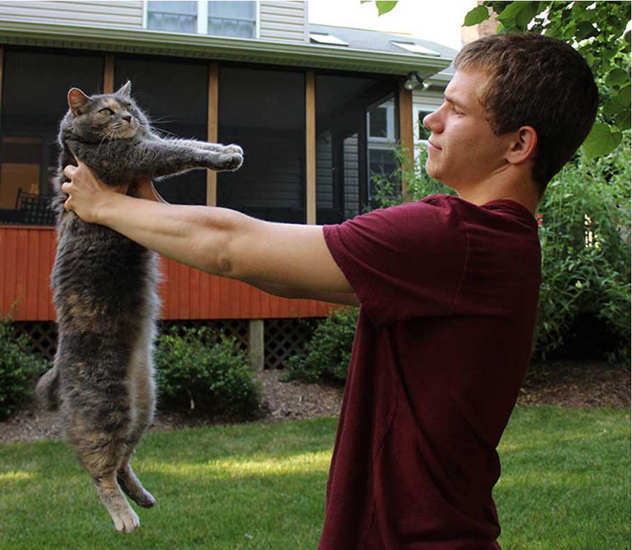 Gatto insieme ad un ragazzo