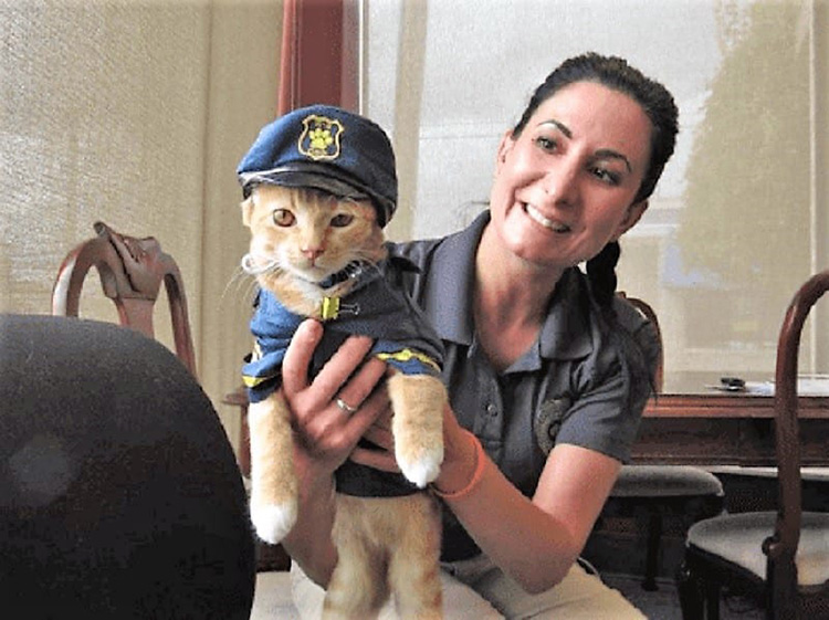 Gatto poliziotto