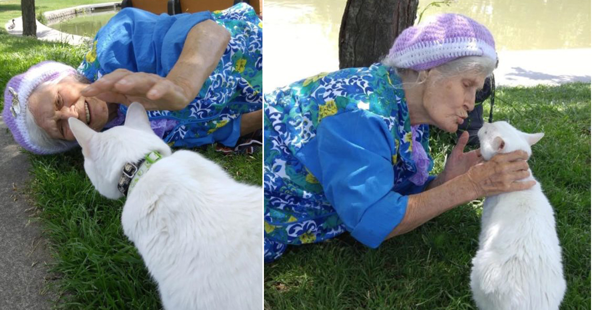 Darwin, il gatto di 17 anni che ha cambiato la vita ad una donna di 87 anni