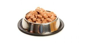 Gatto Siamese: alimentazione ideale