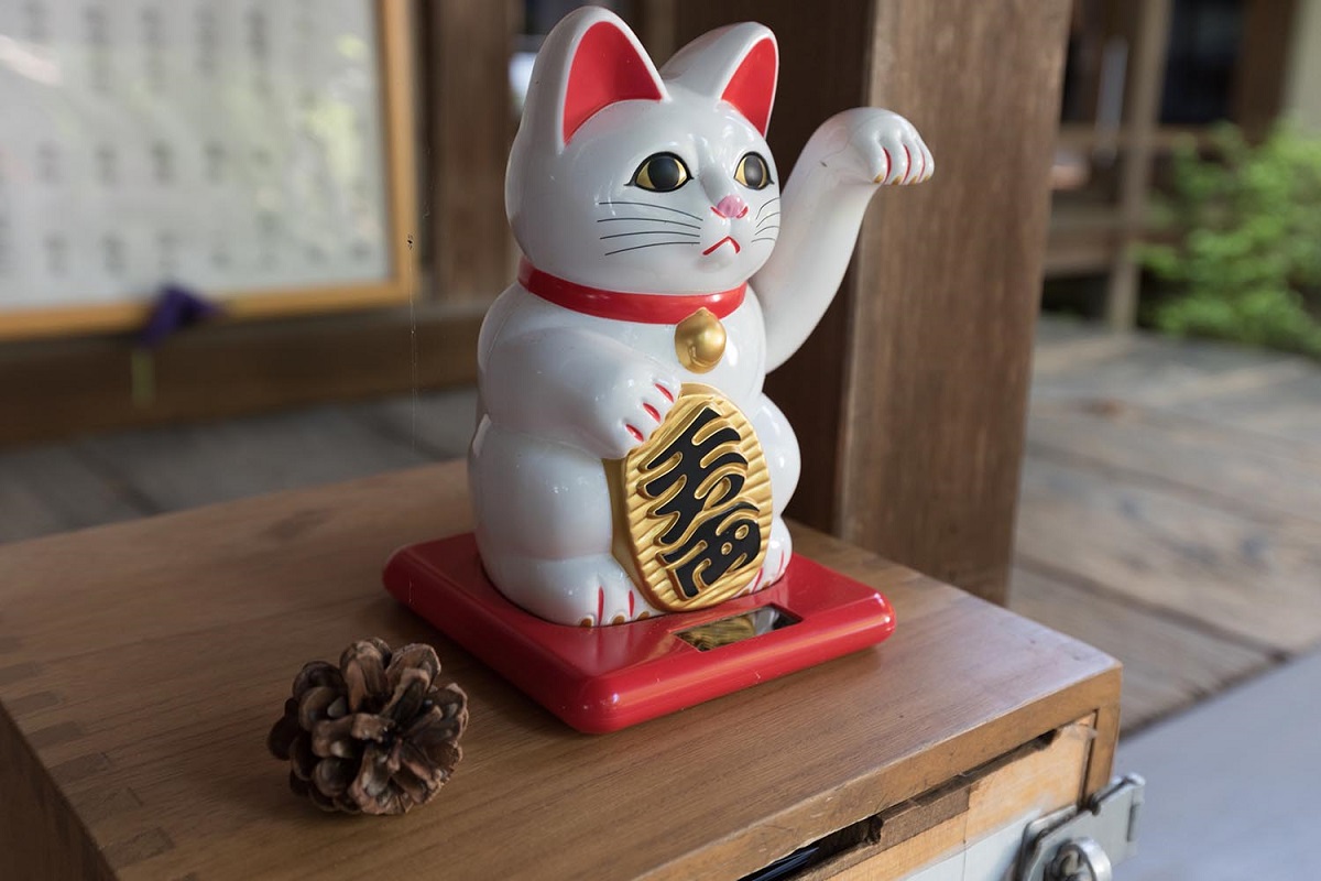 Bobtail Giapponese: la leggenda del Maneki Neko