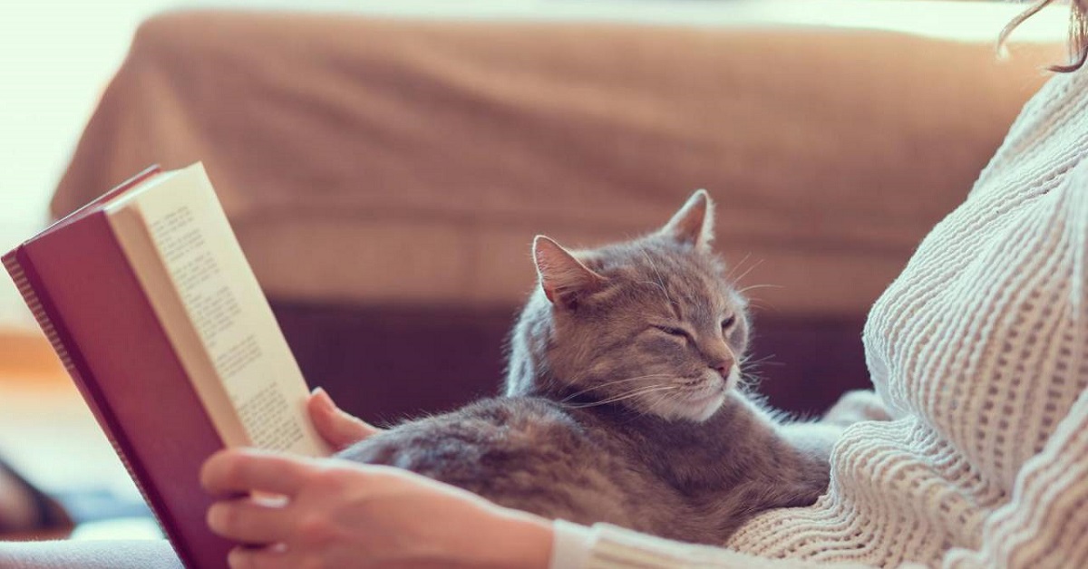 gatto accanto a donna che legge