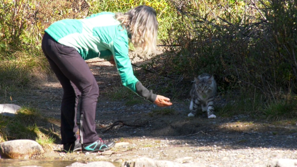 Gatto con una donna