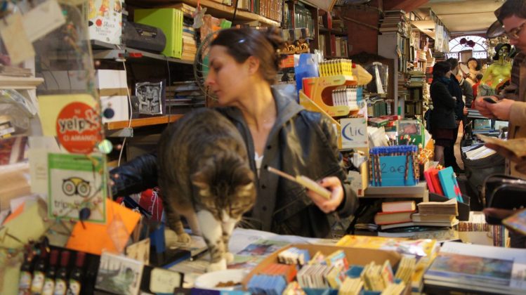 Gatto nella libreria Acqua alta a Venezia