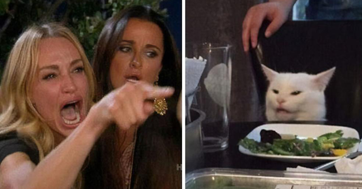 Smudge, il gatto che ha dato origine ad un famoso meme