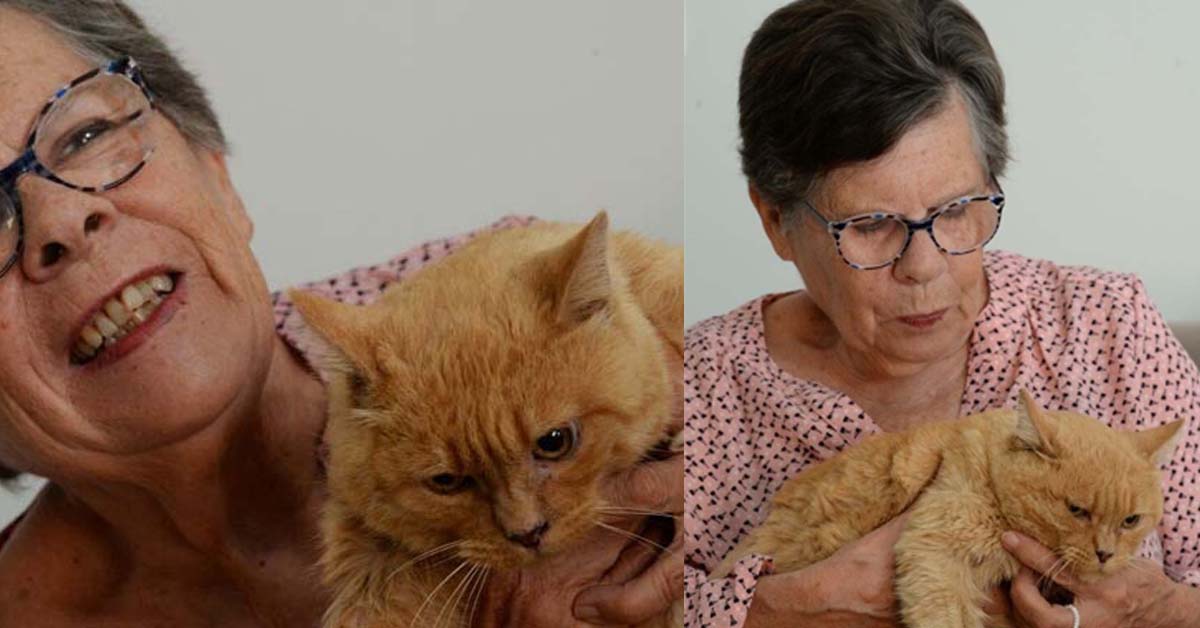 Noisette, il gatto che ha riabbracciato la proprietaria dopo 11 anni
