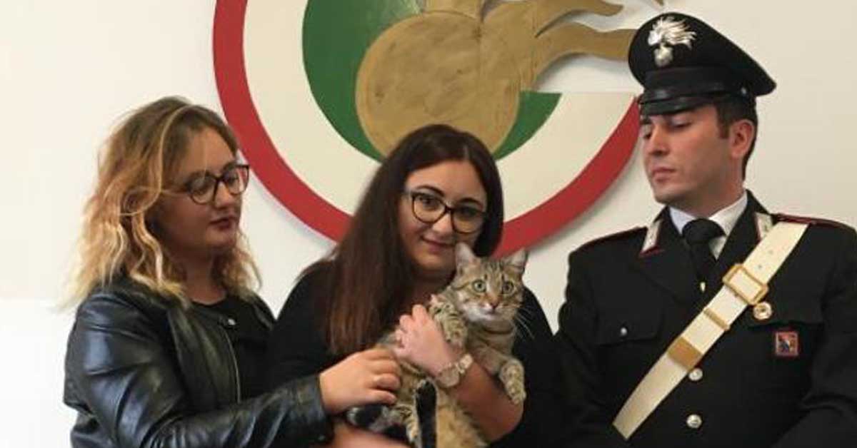 Torino: trova un gatto smarrito e chiede un riscatto alla proprietaria