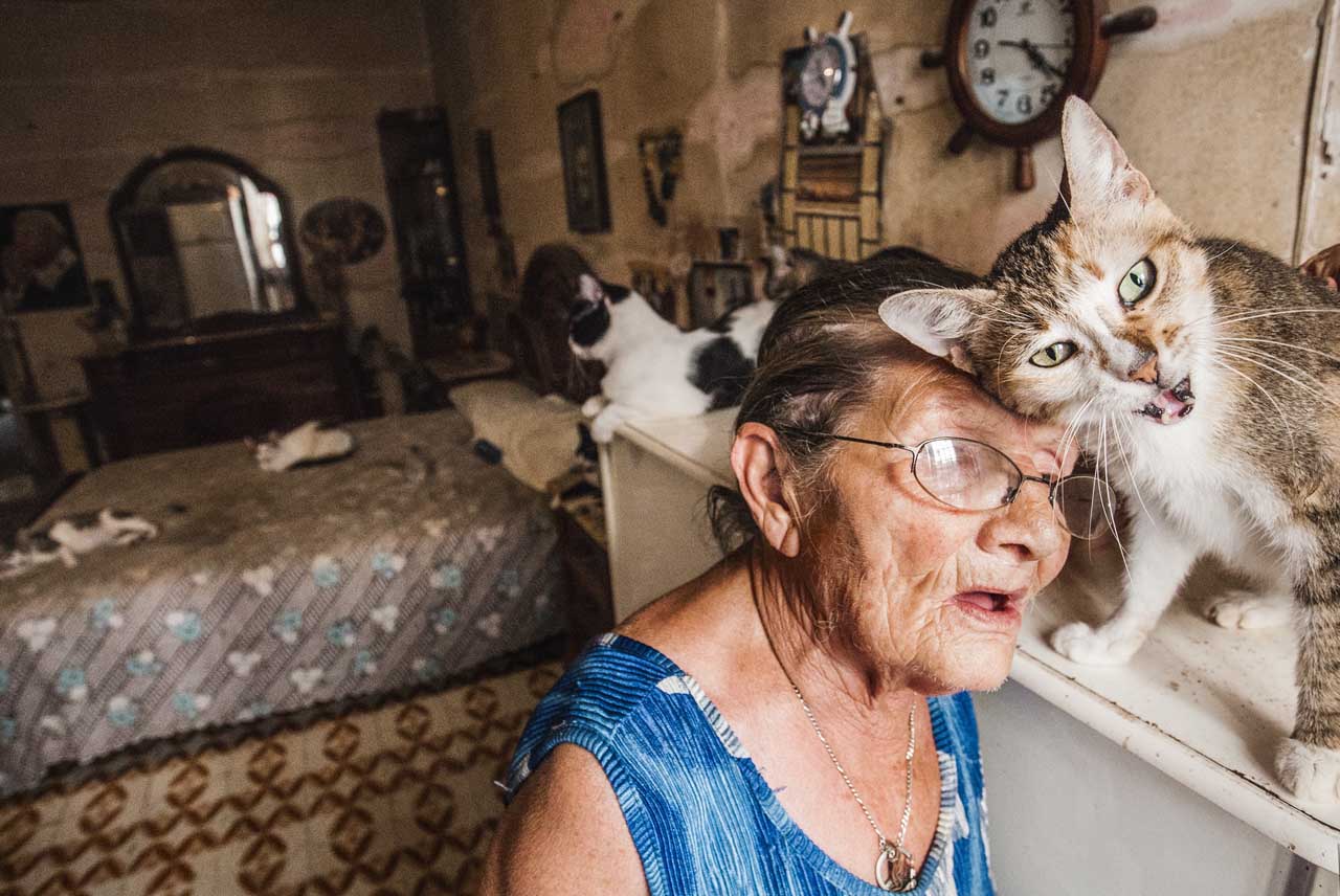 Siracusa: i suoi gatti sono rimasti soli, ottantenne scappa dall’ospedale