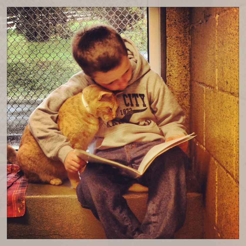 Un bambino che legge ad un gatto