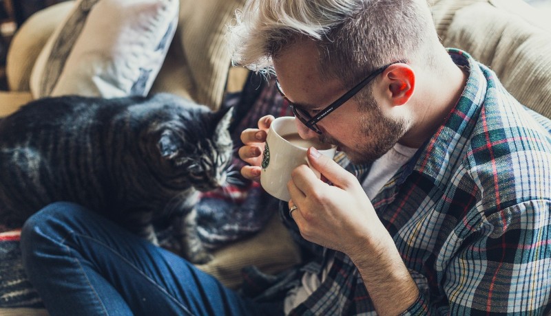 Gatto e caffè