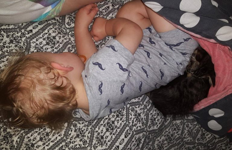 Gattino vicino ad un bambino