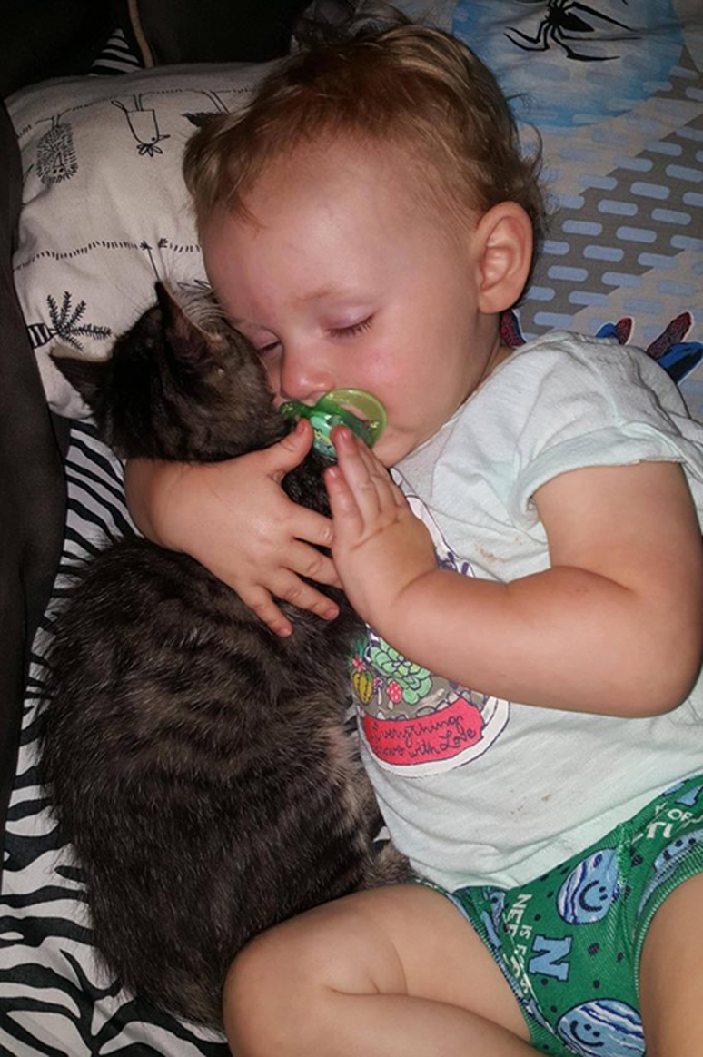L'amicizia tra un gattino e un bambino