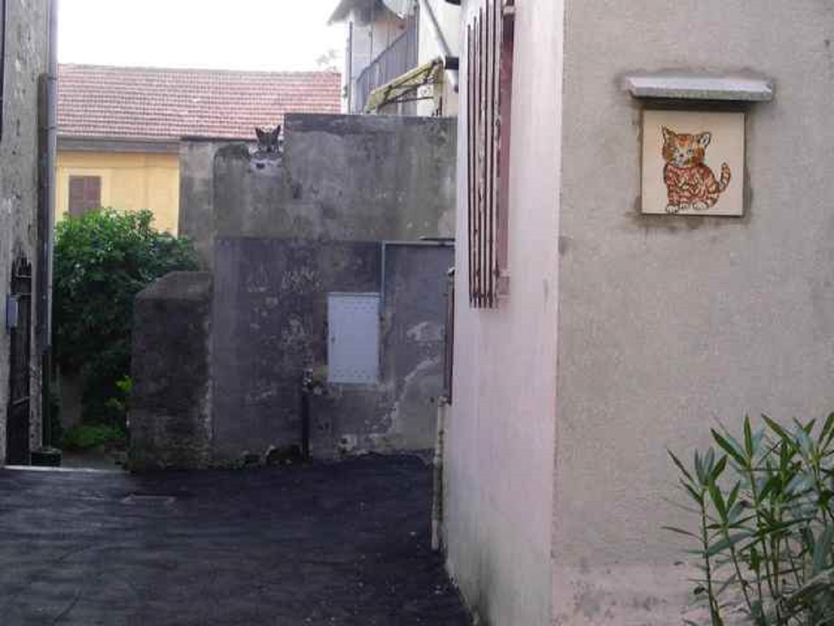 mattonella con gatto per le strade di brolo