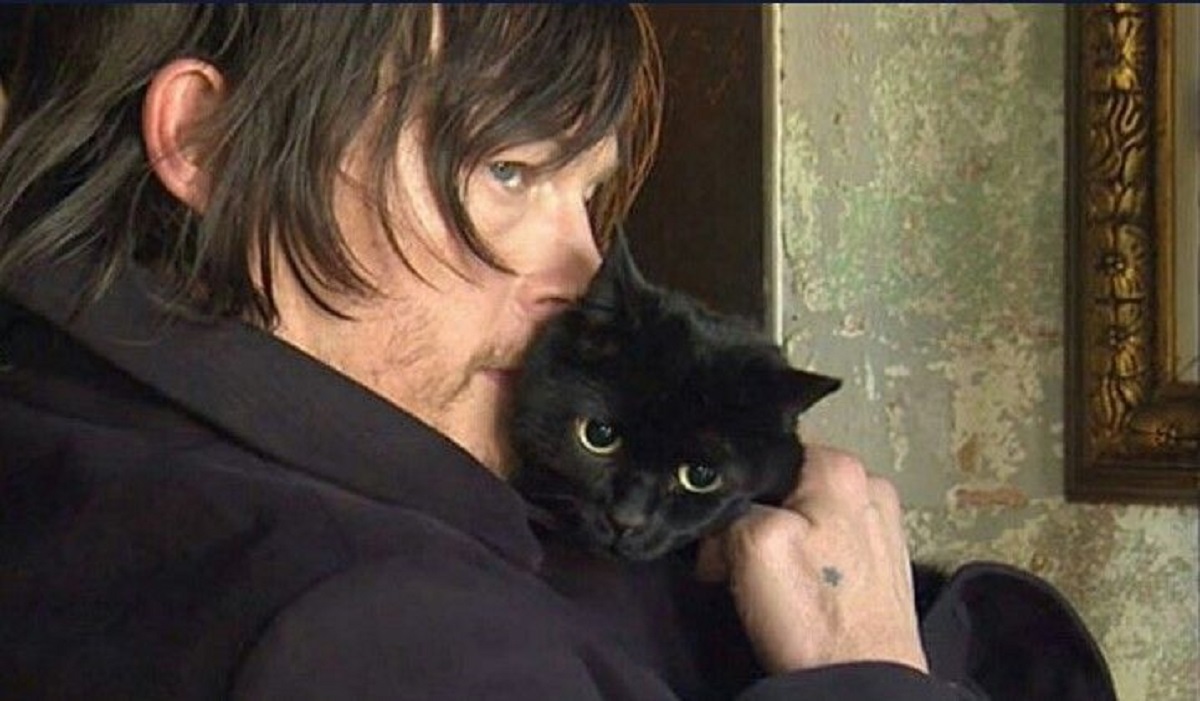 Gatti e celebrità: la storia di Norman Reedus e del suo ‘Eye In The Dark’