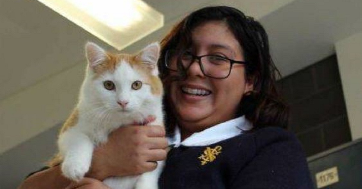 Pet therapy: gatti in classe contro l’ansia