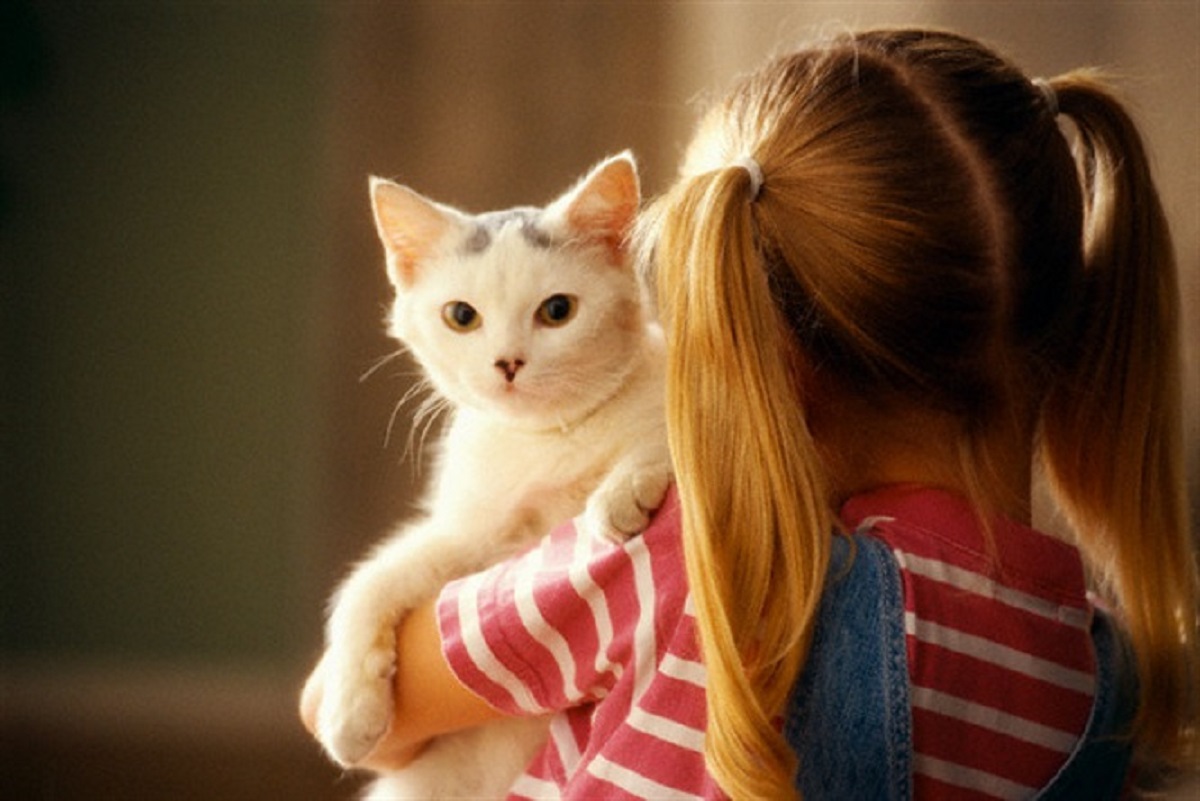 gatto in braccio a una bambina