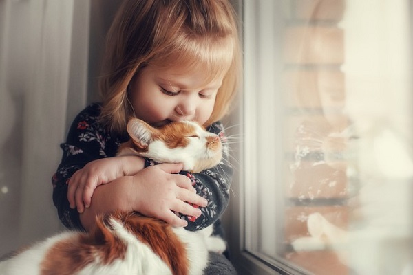 bambina e gatto alla finestra